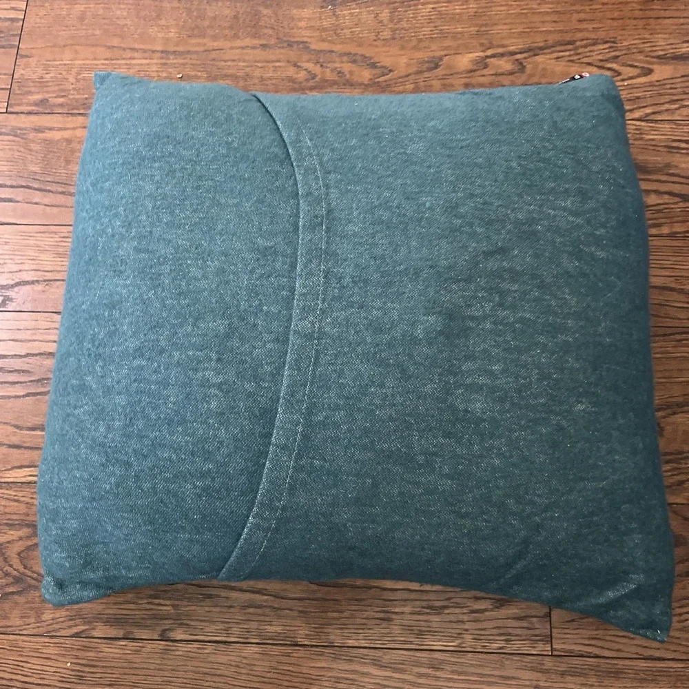 David Fussenegger Ski You Soon green down pillow, New, 18